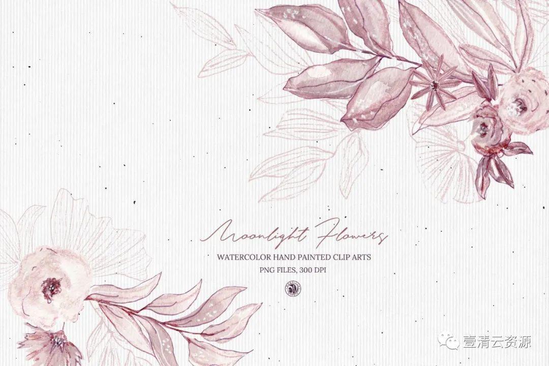【S0812】【素材】月光花花语水彩手绘剪贴画PNG素材