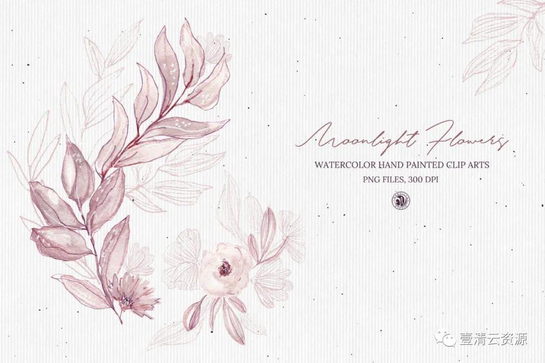 【S0812】【素材】月光花花语水彩手绘剪贴画PNG素材