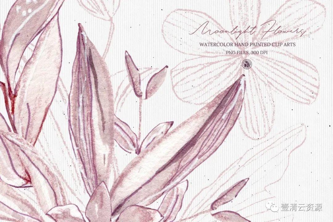 【S0812】【素材】月光花花语水彩手绘剪贴画PNG素材
