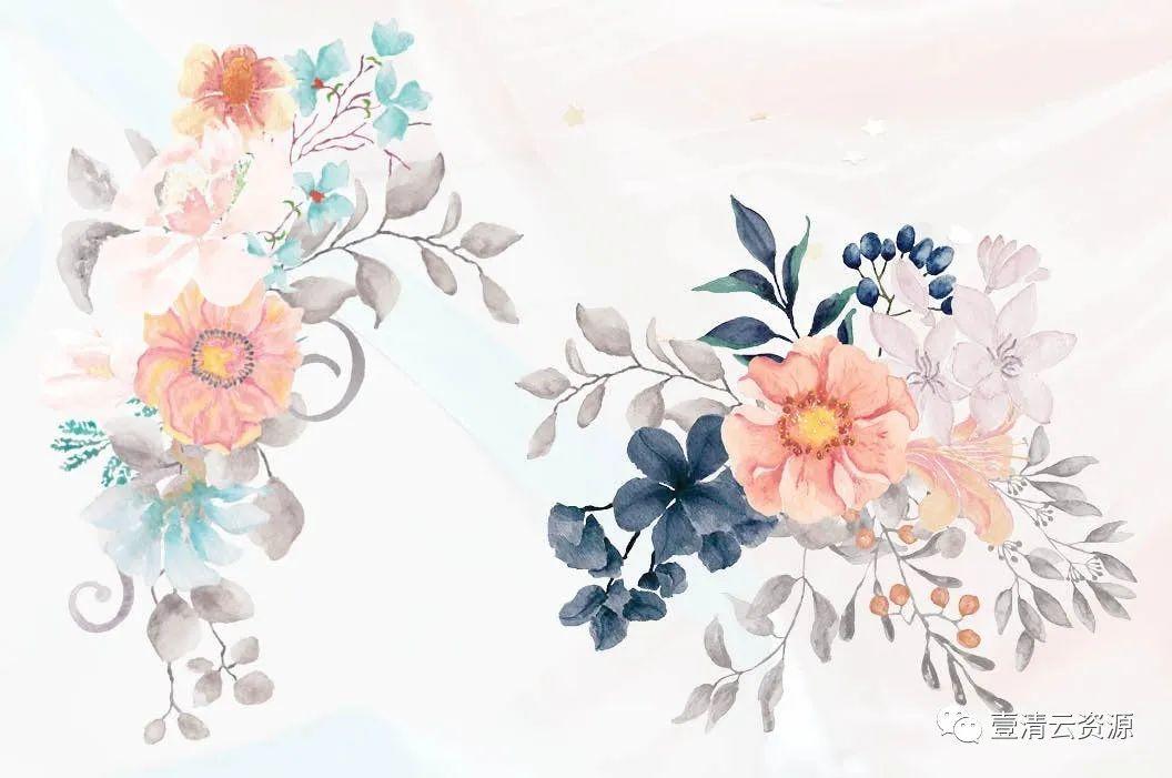 【S0816】【素材】8款水彩花卉手绘剪贴画PNG图片素材