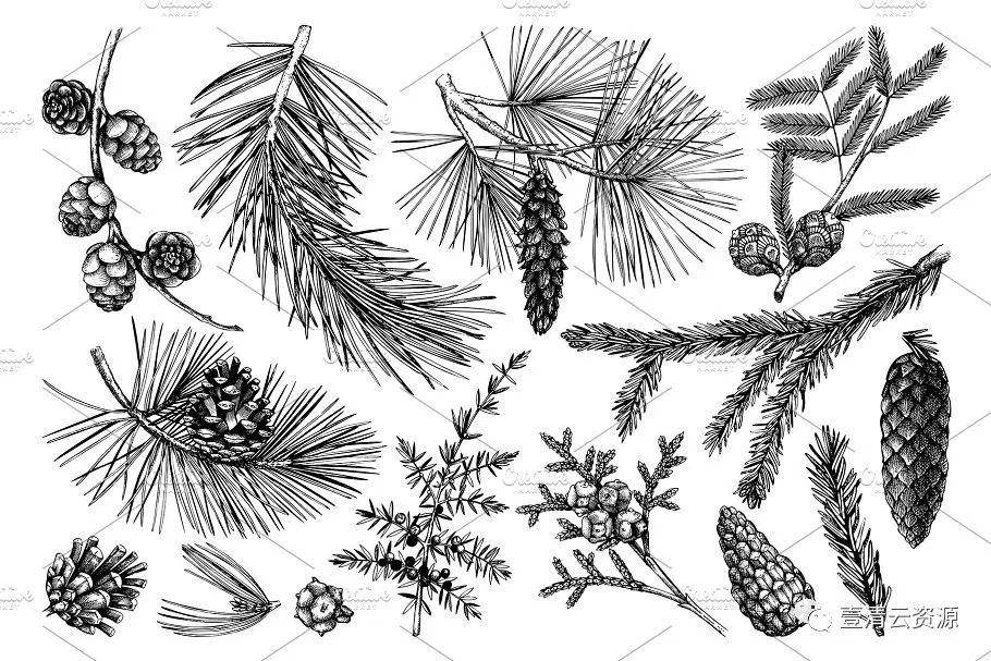 【S0941】【素材】黑色矢量树木植物插画EPS JPG设计素材源文件