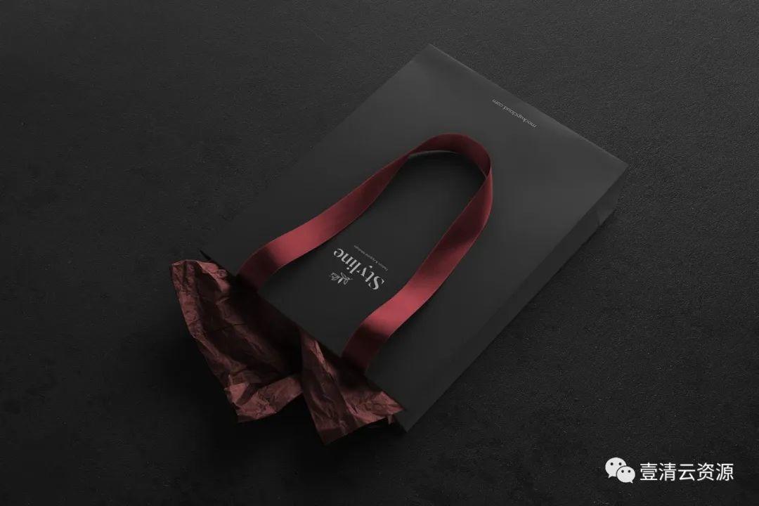 【S0976】【素材】Styline系列时尚服饰品牌VI设计样机套装2PSD设计素材源文件