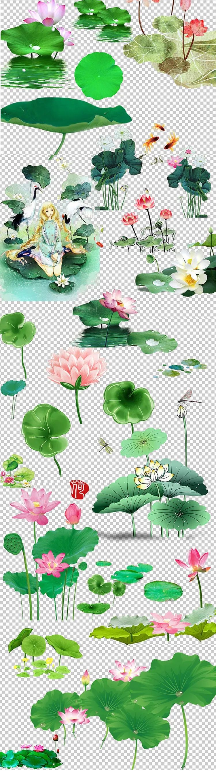 【S1039】【素材】中国古韵唯美莲花水彩荷花荷叶PNG素材 免扣透明背景设计新