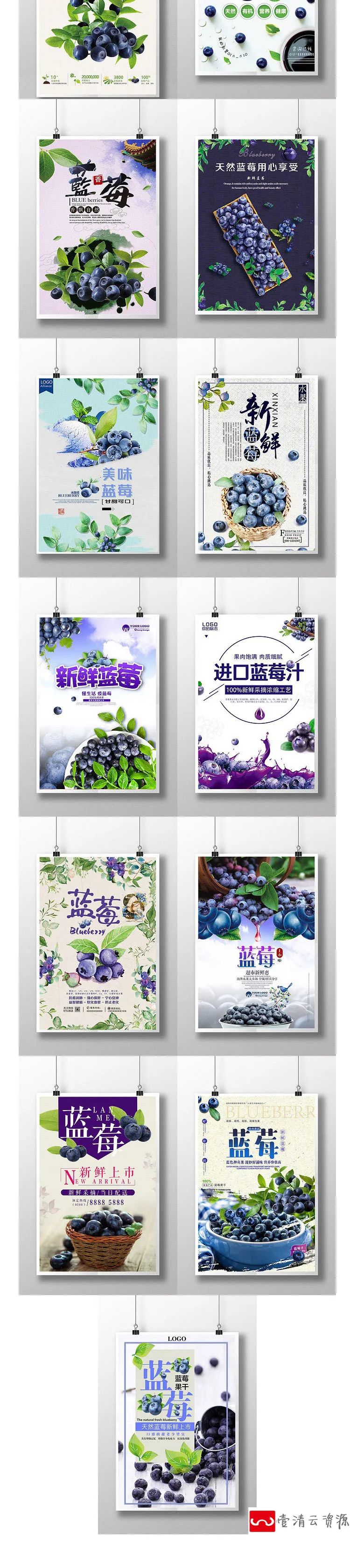 【S1184】【素材】清新自然新鲜水果蓝莓活动海报 果园宣传促销平面psd模板新