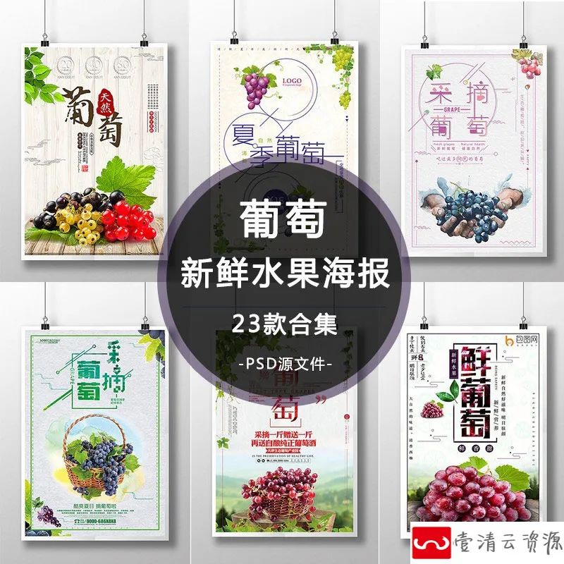 【S1159】【素材】新鲜直供果园葡萄采摘促销宣传活动海报 水果店psd展板模板