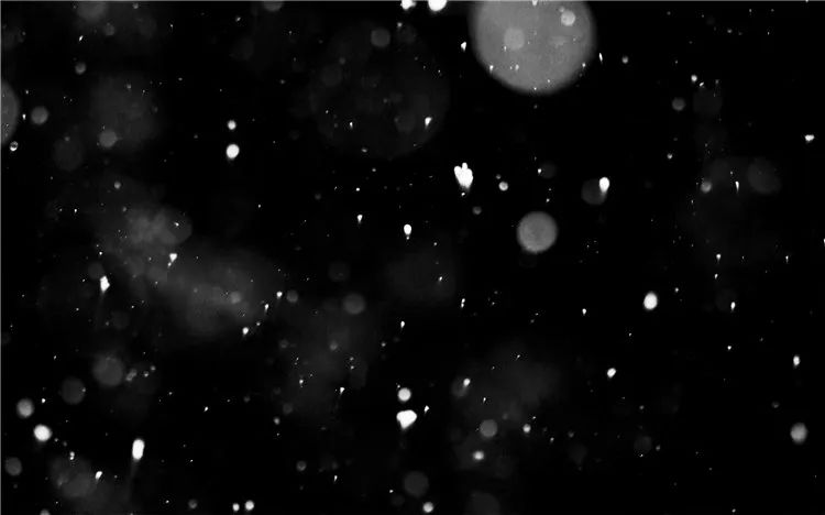 【S1037】【素材】雪花飘落梦幻唯美雪景写真相册背景影楼后期PSD分层素材模板 星夜PS素材