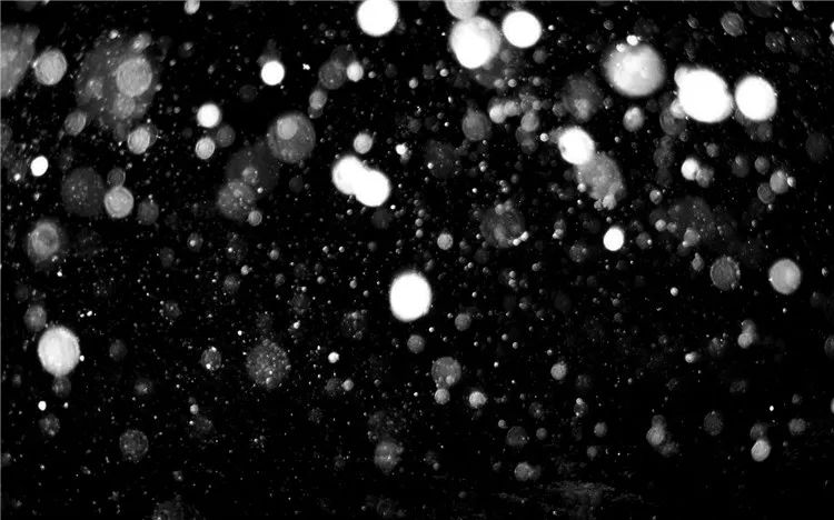 【S1037】【素材】雪花飘落梦幻唯美雪景写真相册背景影楼后期PSD分层素材模板 星夜PS素材