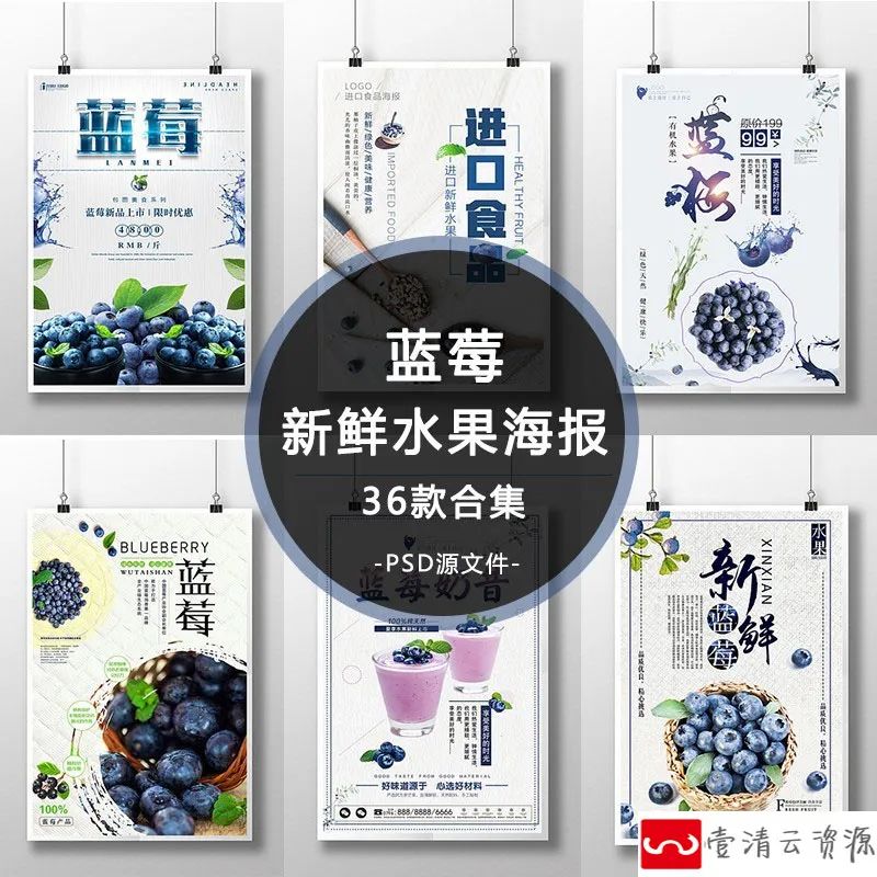 【S1184】【素材】清新自然新鲜水果蓝莓活动海报 果园宣传促销平面psd模板新