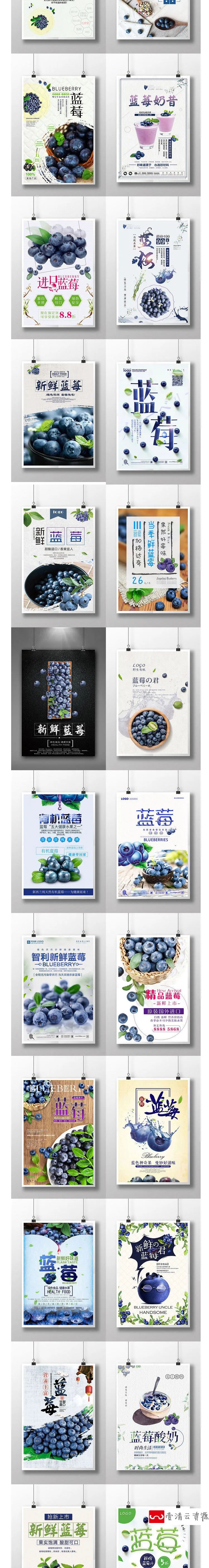 【S1184】【素材】清新自然新鲜水果蓝莓活动海报 果园宣传促销平面psd模板新