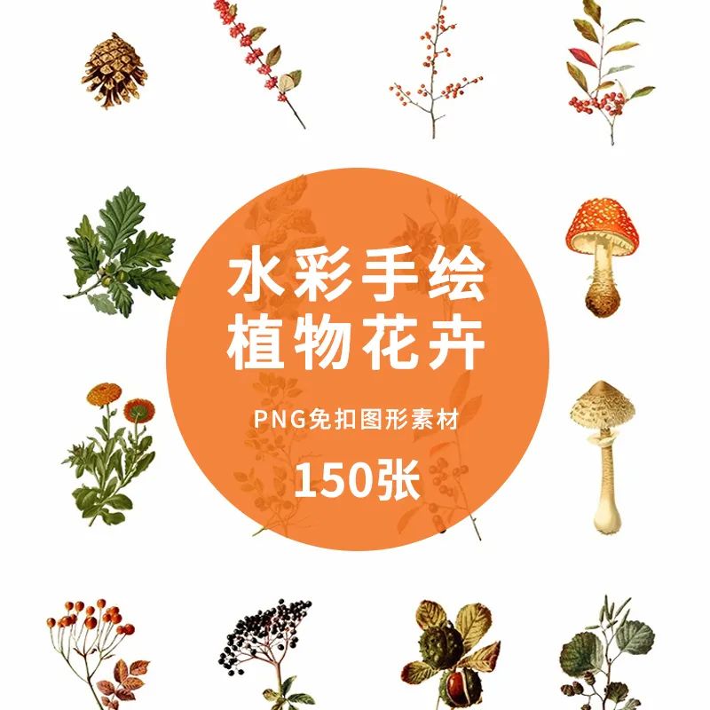【S1138】【素材】自然清新水彩手绘森林植物树花卉素材 插画设计PNG免扣素材