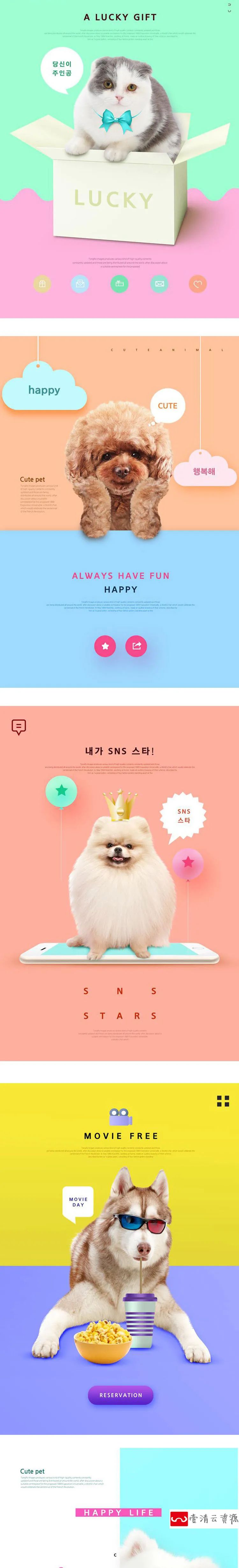 【S1141】【素材】可爱卡通创意简约萌宠系列海报 宠物店猫狗海报PSD设计素材
