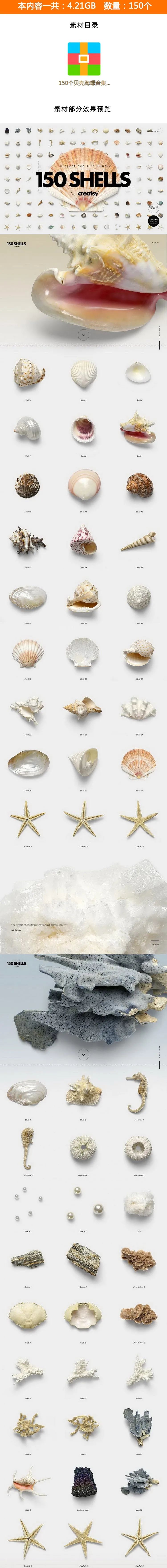 【S1229】【素材】海底世界高清海洋贝壳海螺海星图片素材 高像素透明背景PS