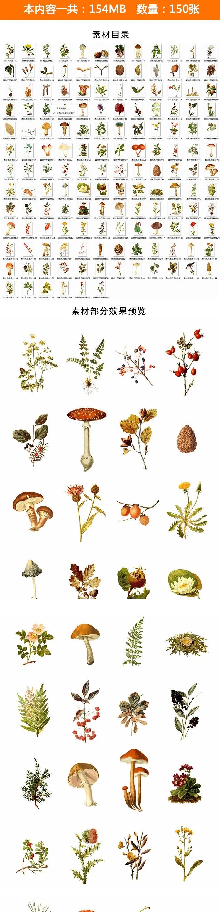 【S1138】【素材】自然清新水彩手绘森林植物树花卉素材 插画设计PNG免扣素材