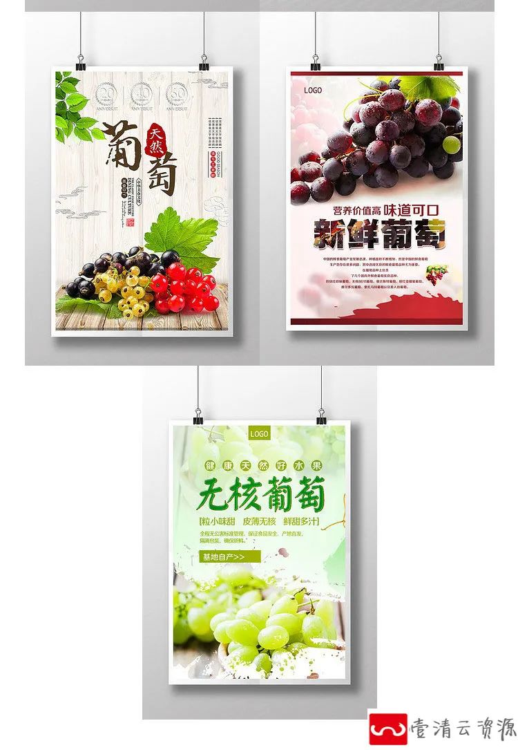 【S1159】【素材】新鲜直供果园葡萄采摘促销宣传活动海报 水果店psd展板模板