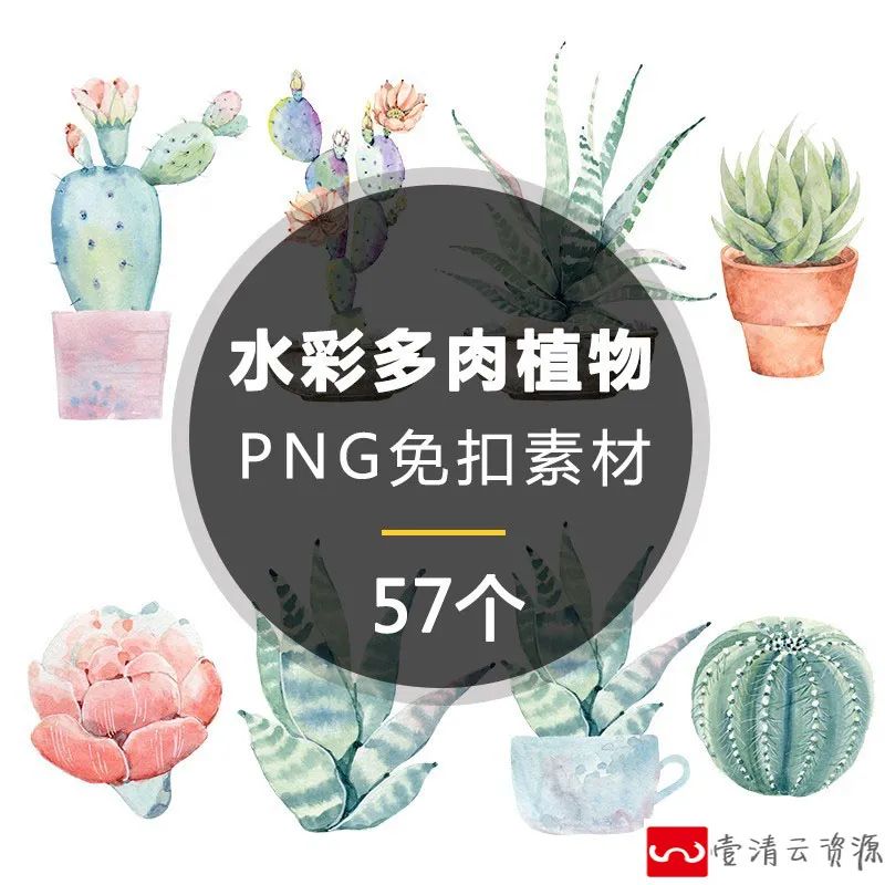 【S1219】【素材】手绘唯美水彩风格多肉植物PNG免抠图素材 仙人掌PS设计素材