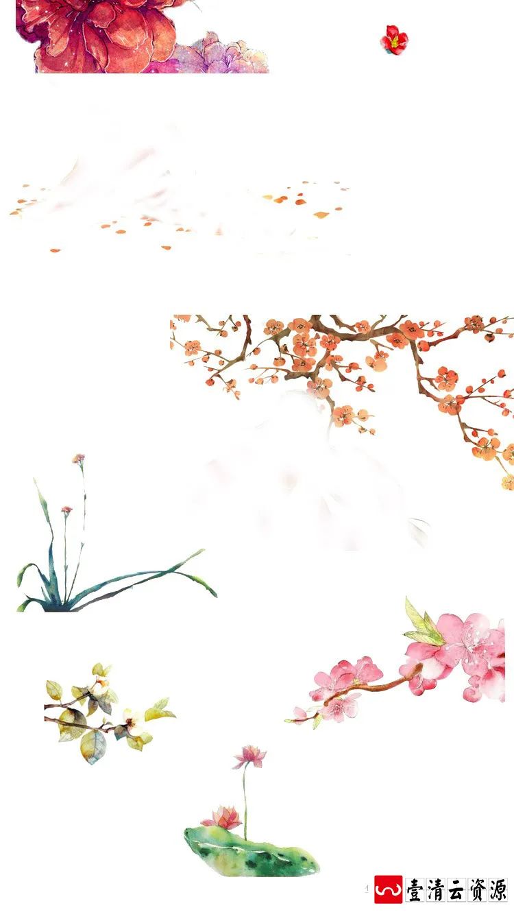 【S1276】【素材】古典复古花卉自然元素背景素材 免抠透明背景手绘水彩图片