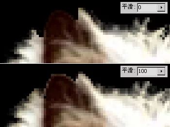 PS教程：超详细抠图技巧，再学不会就谁都帮不到你了
