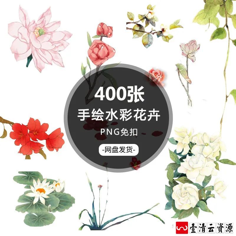 【S1276】【素材】古典复古花卉自然元素背景素材 免抠透明背景手绘水彩图片