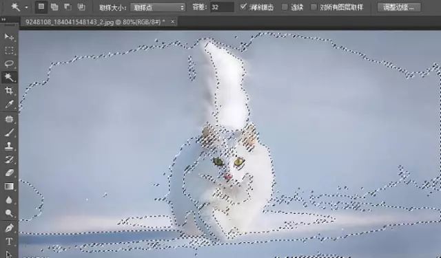 PS教学：快速蒙版及调整边缘快速抠出白猫