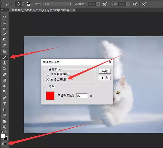 PS教学：快速蒙版及调整边缘快速抠出白猫