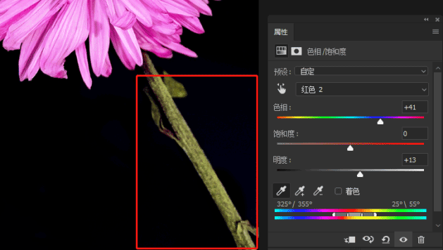 PS教程：通过PS给干花进行上色处理