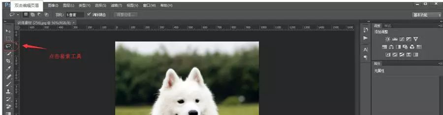 PS抠图教程：详细解析如何抠出毛茸茸的小狗