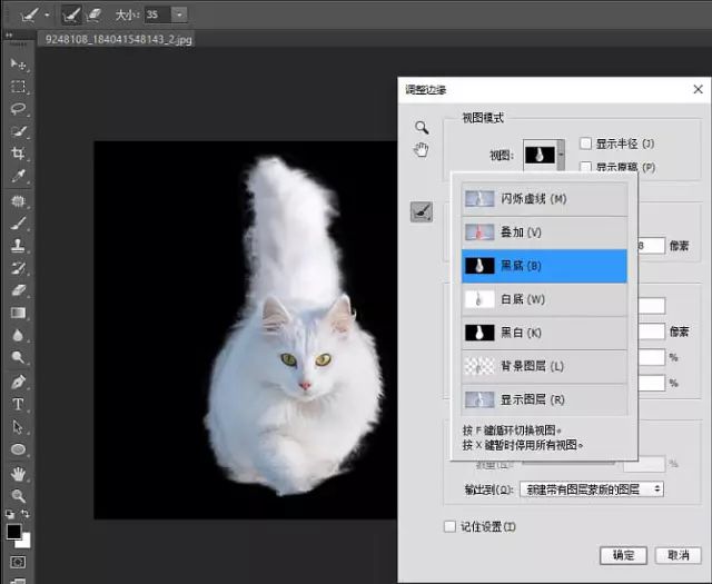 PS教学：快速蒙版及调整边缘快速抠出白猫