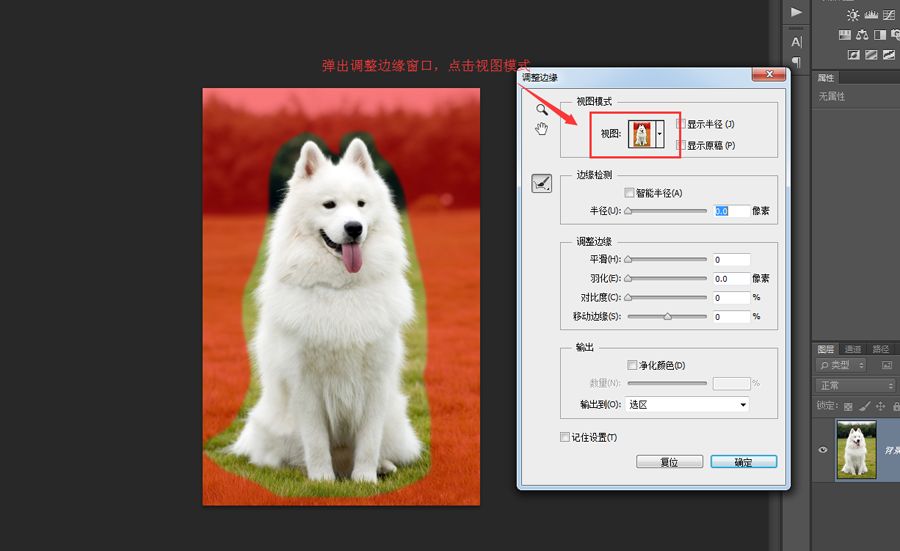 PS抠图教程：详细解析如何抠出毛茸茸的小狗