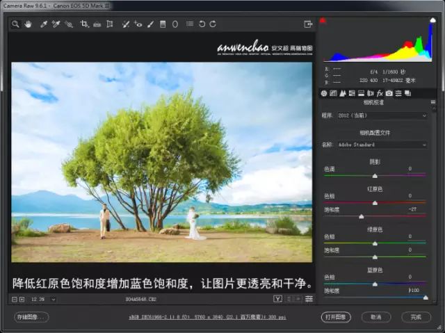 PS教程：外景婚纱，调清新自然色彩的婚纱照片教程