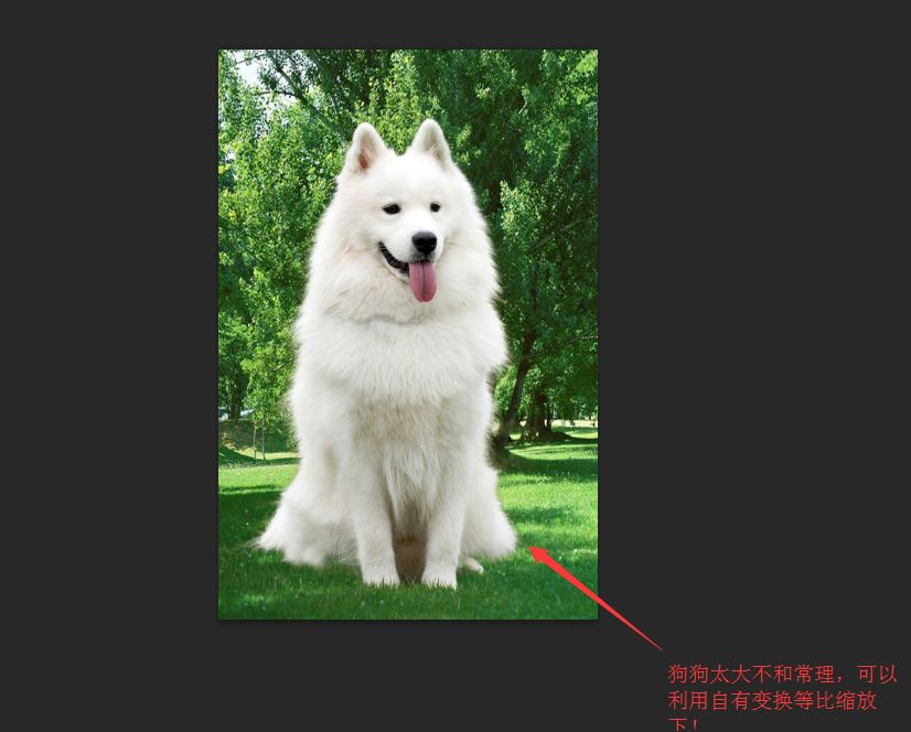 PS抠图教程：详细解析如何抠出毛茸茸的小狗