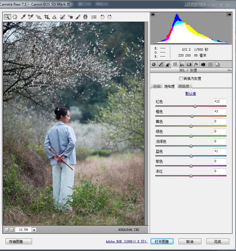 PS教程：调出外景梅花人像唯美冷色效果
