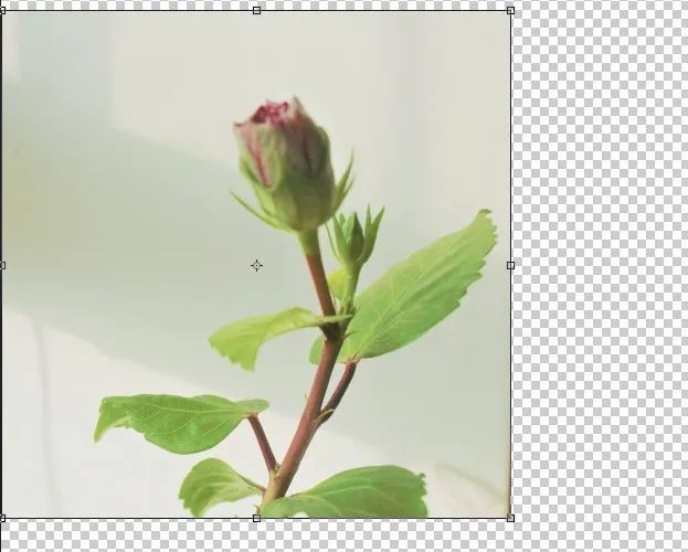PS教程：不破坏画面美感，自然拉伸背景图