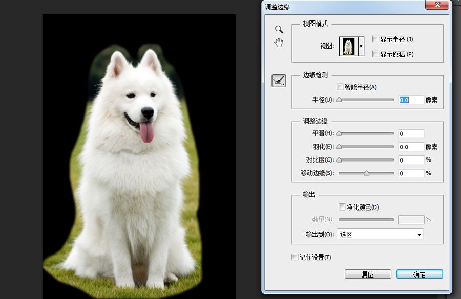 PS抠图教程：详细解析如何抠出毛茸茸的小狗
