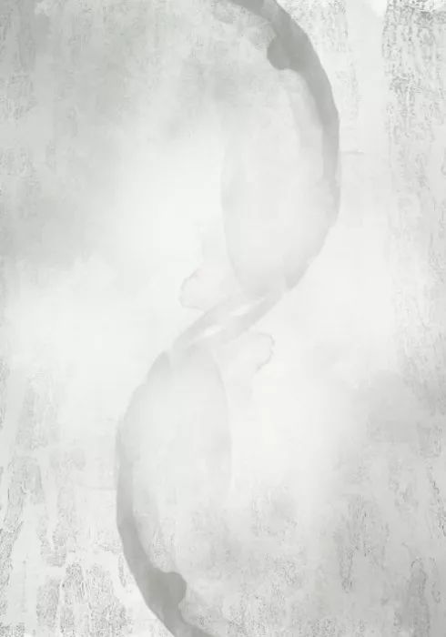 PS教程：用纹理和笔刷打造抽象风格的照片