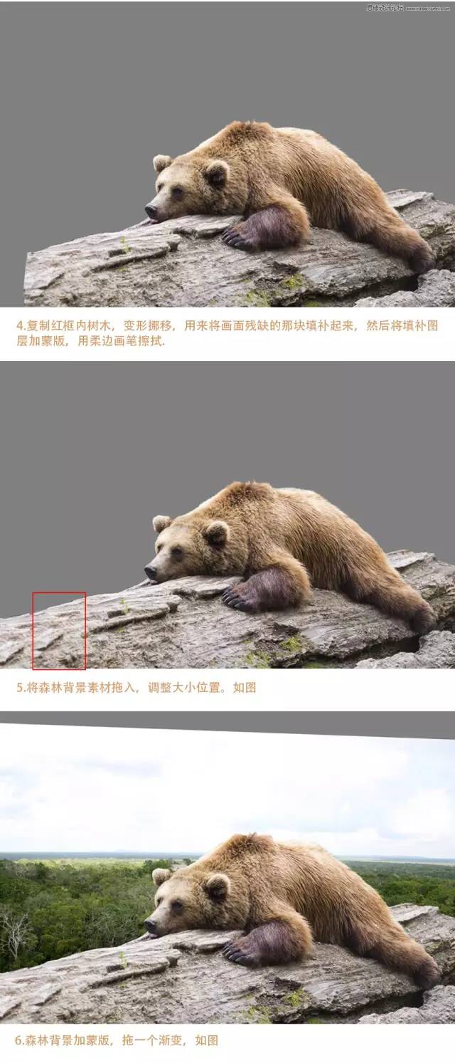 PS教学：大片合成の奇幻森林
