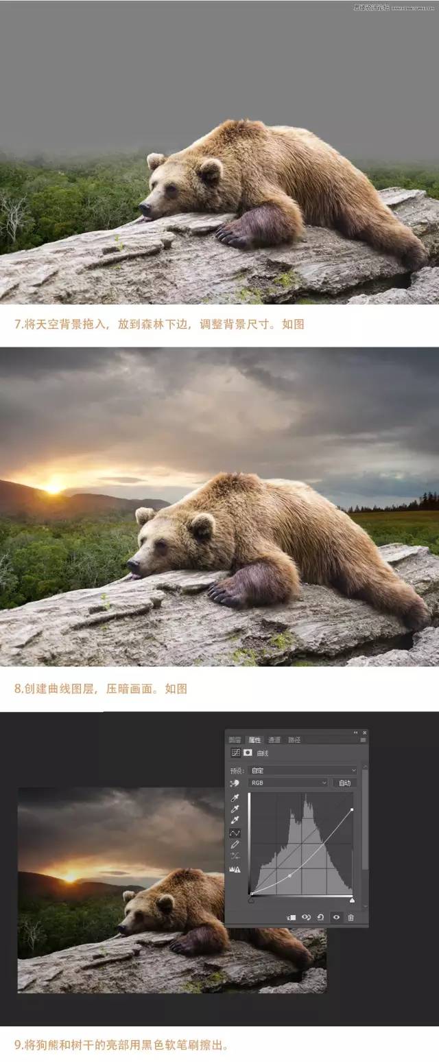 PS教学：大片合成の奇幻森林