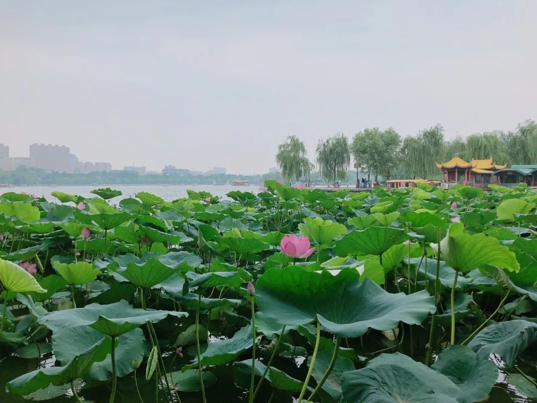 Ps教程|呼风唤雨只需五步!
