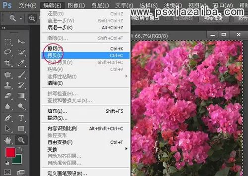 PS教程：使用通道给纯色背景中的新娘婚纱照换喜庆大红花朵背景