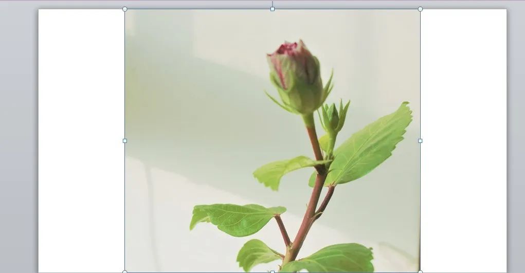 PS教程：不破坏画面美感，自然拉伸背景图