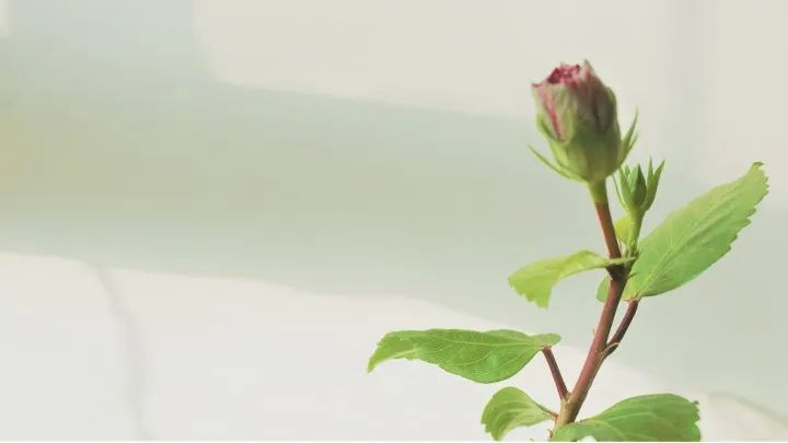 PS教程：不破坏画面美感，自然拉伸背景图