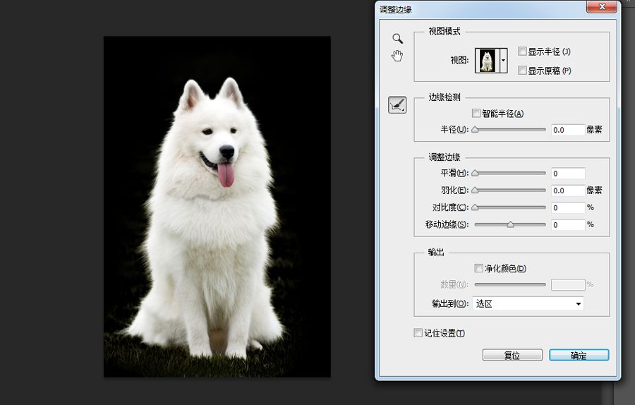 PS抠图教程：详细解析如何抠出毛茸茸的小狗