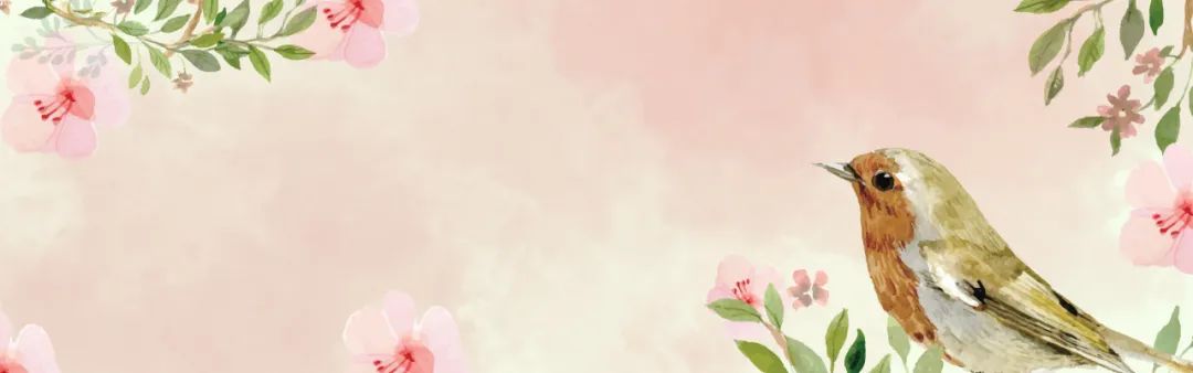 【S1419】【素材】古典中国风手绘水墨复古工笔画PSD模板 风景花叶海报背景