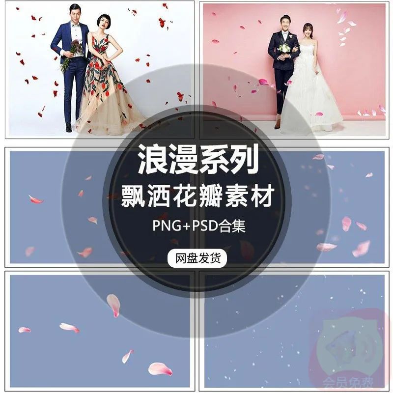 【S1593】【素材】影楼摄影后期修图处理素材 PNG散落飘洒花瓣PSD格式上百款