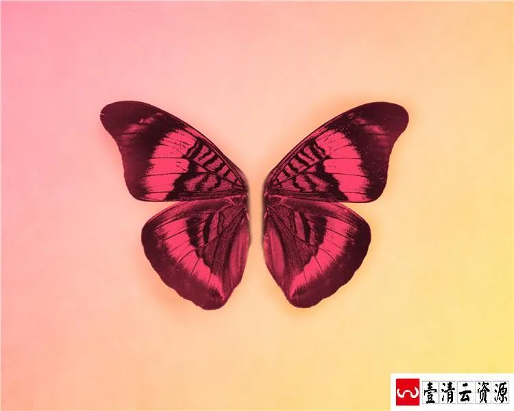 【S1489】【素材】创意新生婴儿满月写真抠图背景PSD模板宝宝百天照后期设计JPG素材