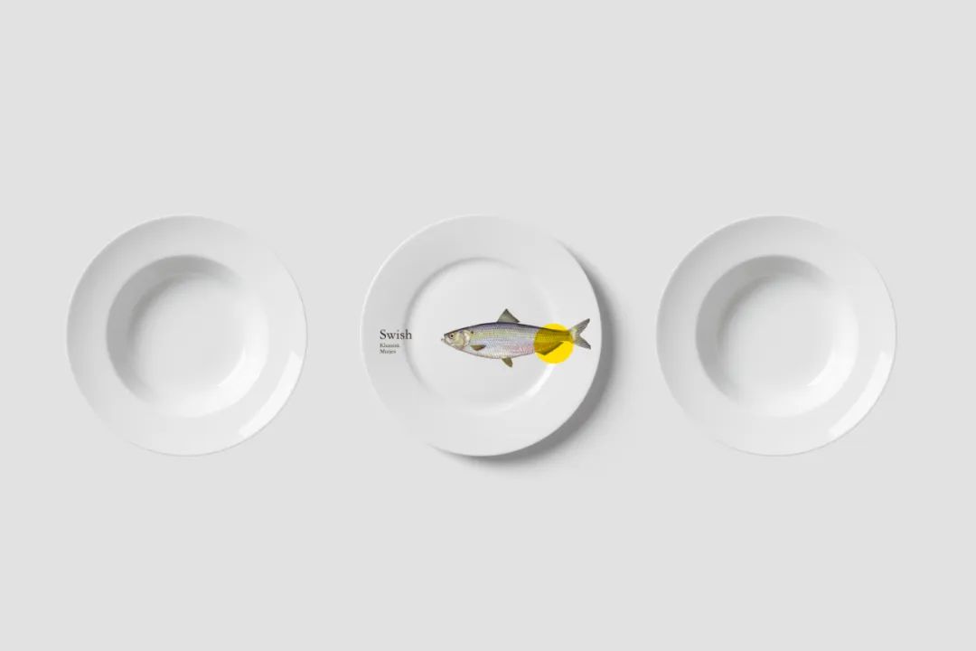 【S1708】【素材】鱼类海鲜餐饮美食餐厅全套VI包装名片设计PSD智能贴图样机ps素材