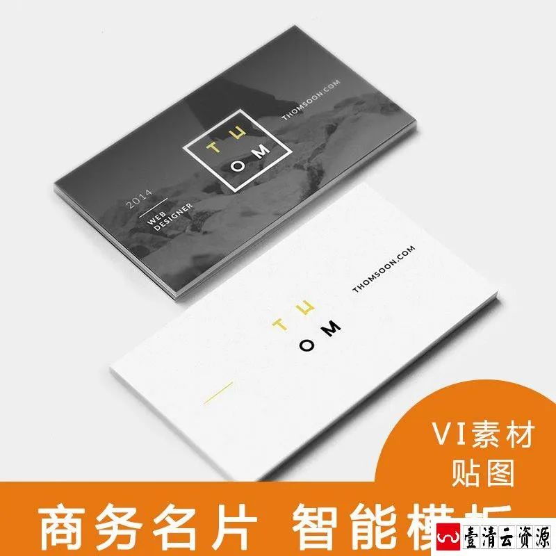 【S1643】【素材】高端系列风格品质名片模板 VI素材智能PSD格式LOGO效果贴图