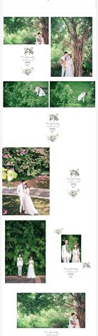 【S1647】【素材】浪漫文艺清新美丽高档韩版婚纱影楼风景写真结婚摄影PSD模板