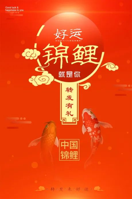 【S1962】【素材】33款寻找好幸运锦鲤体质中国风艺术插画海报psd模板设计素材